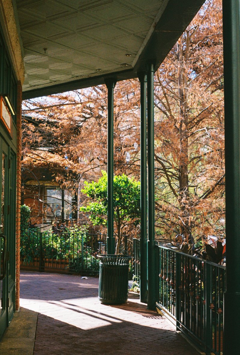 05_pflanze_riverwalk.jpg